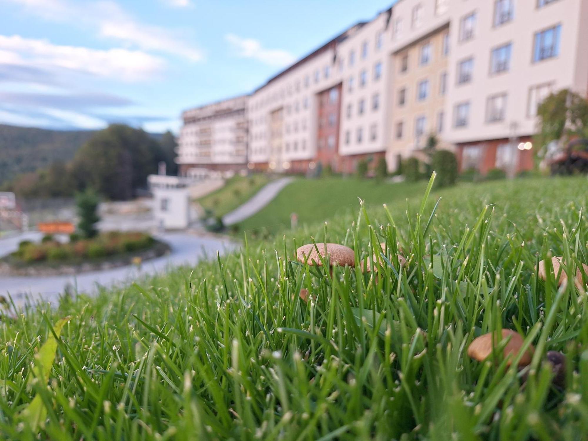 Apartamento Vistanova Milmari S33 Kopaonik Exterior foto